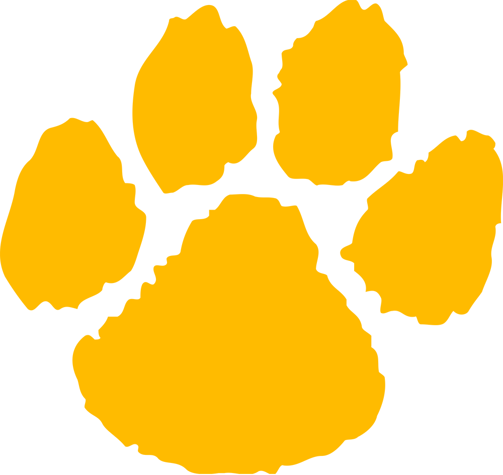 Northern Michigan Wildcats 0-Pres Alternate Logo diy fabric transfer